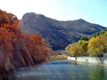 新澳门二四六天天开奖，天年电解水机